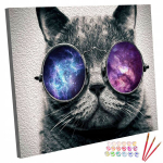 Pilt maali numbrite j&auml;rgi raamil raam kass kassipoeg 40x50 cm