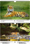 Tigerzauber din a4 2023. aasta kalender tiiger seelenzauber