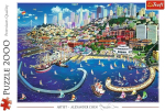 Trefl San Francisco Bay pusle 2000 t&uuml;kki usa premium kvaliteet, alates 15. eluaastast