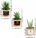 Belle Vous 3 kunsttaime komplekti mini kunsttaimed potis roheline vask - 10 x 7,5 cm sukulendid kunstkunsti kaktuste komplekt potis elutoa, kontori, vannitoa kaunistuseks
