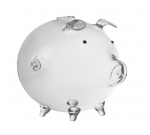 Klaasist hoiup&otilde;rsas ClearSave