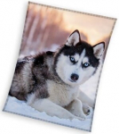 Pleed / fliistekk Husky koer 150x200 cm