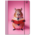 Pakend A4-mapp koos kummipaelaga Capybara roosa 5 tk - EV-Corp PAP