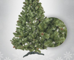 Kunstkuusk Lina, 2.5 m