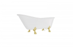 Vann Besco Olaya 160, White+Gold (ilma sifoonita, &uuml;levooluavaga)
