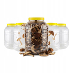 5x 8l multifunktsionaalne plastmahuti toidu ja joogi jaoks