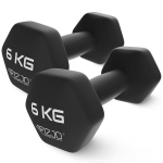 Klassikalised hantlid 2 &times; 6 kg &ndash; intensiivsemateks treeninguteks kodus ja spordisaalis