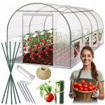 Kilekasvuhoone Plonos 2,5 &times; 4 m