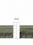 Vikosa Arcura tumeroheline villavaip 120x180