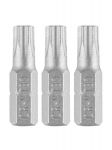 Grafiit Torx T30 otsikud, 25mm, 3 tk.