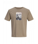Jack & Jones meeste T-s&auml;rk 12285394*03, beež 5715827057339, S