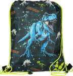 Starpak kingakott dinosaurusega, paelad