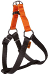 Dingo Energy Silver koera kaelarihm, oranž, 60cm
