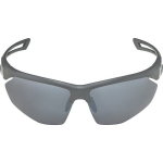 Alpina spordiprillid Nylos HR cat. 3, hall