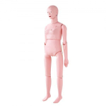 &Otilde;enduse treeningmannekeen, elusuuruses 153x45x21 cm, naine, PVC mudel