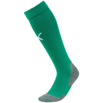Puma Liga Core Socks jalgpallisokid, rohelised 703441 05