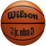 Wilson JR NBA Fam Logo oranž korvpall WZ3013001XB6, 6