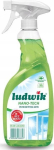 Ludiwk klaasi- ja glasuuripuhastusvahend 600 ml roheline &otilde;un