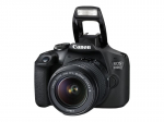 Canon EOS 2000D - Digital camera - SLR - 24.1 MP - APS-C - 1080p / 30 fps - 3x optical zoom EF-S 18-55mm III lens - Wi-Fi, NFC