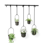 Lillepeenar Triflora black 5