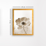 Reproduktsioon Mooni&otilde;is