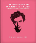 The Little Guide to Harry Styles The New King of Pop