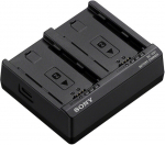 Kaamera aku Sony akulaadija BC-ZD1