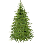 J&otilde;ulupuu premium Springos CT0177 180 cm