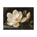 Petit Pointi Kit Luca-S. "Magnolia kaste" 27x20cm SG713