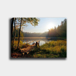 Reproduktsioon 275119325_70100