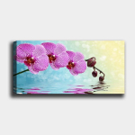 Reproduktsioon Orhidee