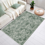 Asir vaip Eexfab797 60x100 cm