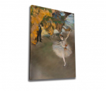 Reproduktsioon WY284