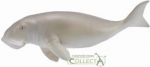 Ranniku Diugoon - Collecta