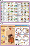 Edu pad. 056 - Vitamiinid, parasiidid... - Visuaalne s&uuml;steem