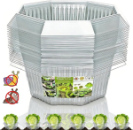 Shengruili taimekaitse putukate eest (kapsas, salat), 20 tk