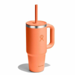 Hydro Flask 710 ml reisitermos k&otilde;rrega ja sangaga