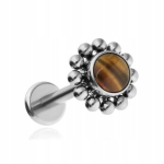 Titaanist labret k&otilde;rvar&otilde;ngas tiigrisilmaga, h&otilde;be, spiraal, laba, merikarp 1,2/8