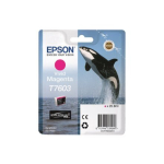 Epson T7603 (c13t76034n10) tint, magenta