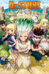 Dr. Stone plakat (91,5x61 cm)