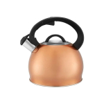 Ambition induktsiooniveekeetja, 2,3 l