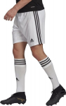 Meeste l&uuml;hikesed p&uuml;ksid adidas Squadra 21 GN5773, valge
