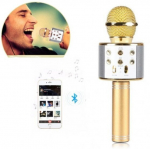 WS-858 juhtmevaba karaoke mikrofon- Bluetooth k&auml;sik&otilde;lar, kuldne
