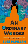 Ordinary Wonder: Heartbreaking and charming coming-of-age fiction about love, loss and taking chances