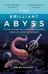 Brilliant Abyss: True Tales of Exploring the Deep Sea, Discovering Hidden Life and Selling the Seabed