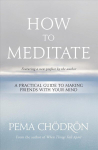 How to Meditate: A Practical Guide to Making Friends with Your Mind