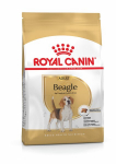 Kuivtoit koertele ROYAL CANIN Beagle adult, 12 kg
