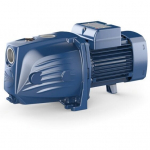 Isep&otilde;hine pump Pedrollo JSWm 1AX