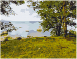 Maalimiskomplekt numbrite j&auml;rgi Kaldal 40x50