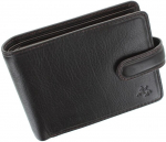 Meeste rahakott Visconti TSC48, pruun